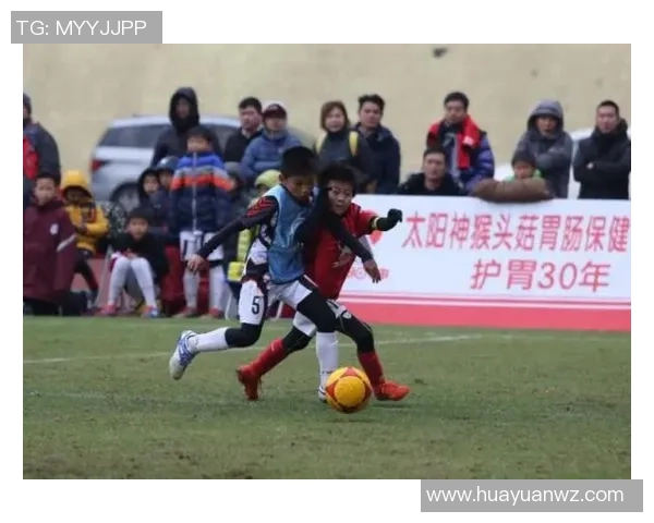 传承经典记忆探索足球球星卡背后的文化价值与收藏魅力